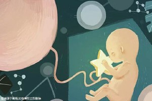 嘉会医疗